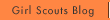 Girl Scouts Blog