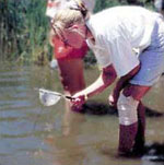 Photo of a girl inspecting soil samples in a stream.