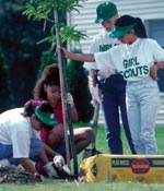 Photo of Girl Scouts planting a tree.