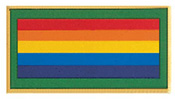 Bridge to Girl Scout Adult pin