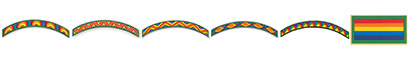 Girl Scout insignia. &copy; GSUSA. All rights reserved.