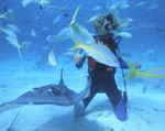 Photo of girl underwater with fish. (Photographer: Michael Kelly, NOAA Office of Exploration)