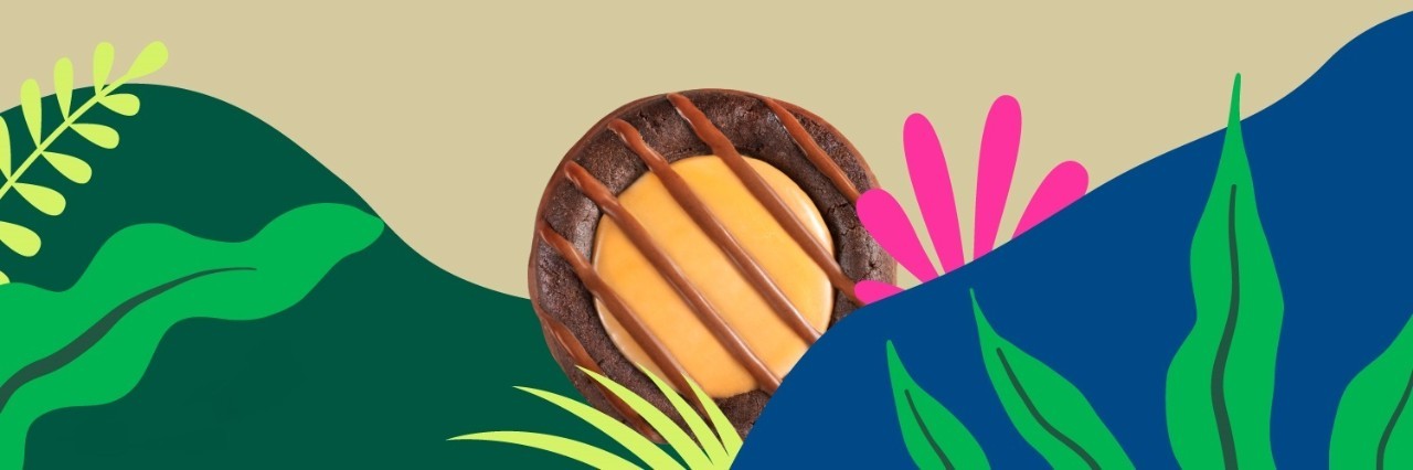 Adventurefulsâ„¢ Girl Scout Cookies | Girl Scouts