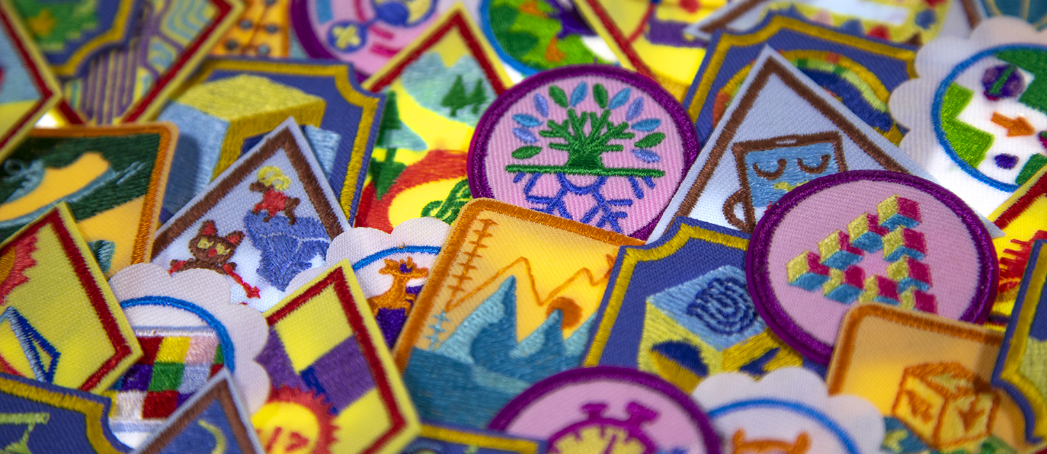 Girl Scout Patches  Girl scout patches, Girl scout badges, Girl