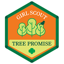 Parche de promesa del árbol de Girl Scouts